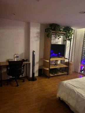 Lovely Room in Roma Norte